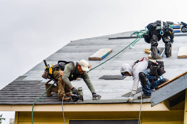 Professional Roof Repair technician working in Athelstane, WI